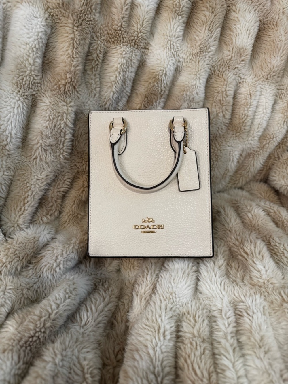 Coach North South Cream Pebbled Leather Mini Tote - Picture 4 of 8